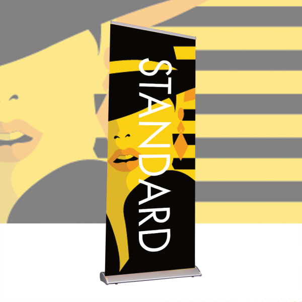 Standard R Banner